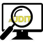 website audit