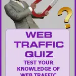 website traffic quiz