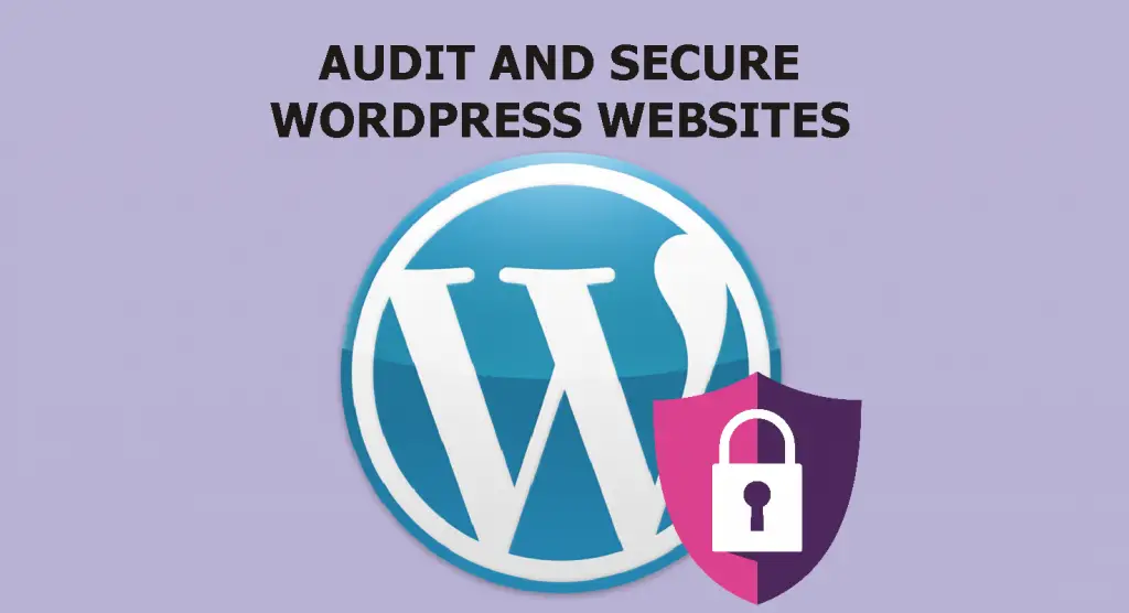 audit and secure your site