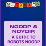 NOODP & NOYDIR Guide pin