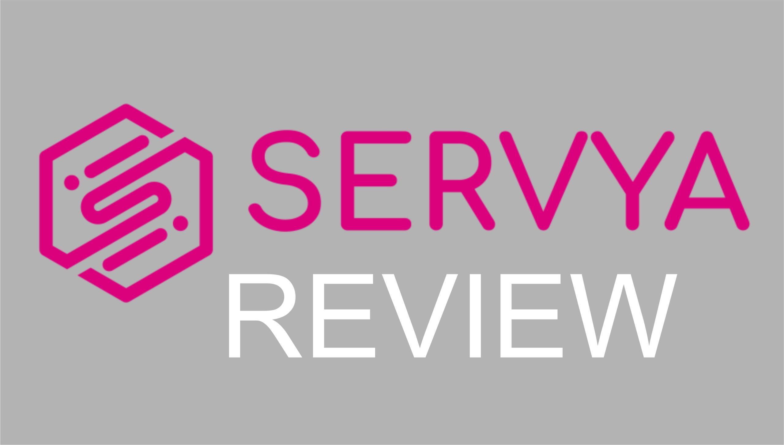 servya seo tools review